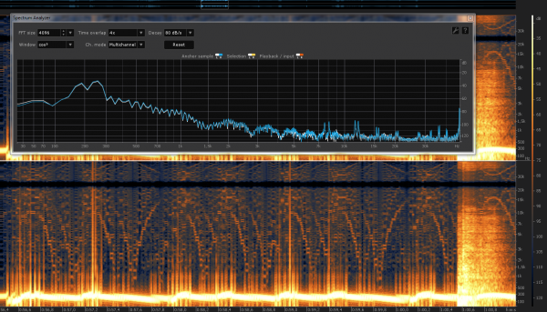 Automobilista audio without filters