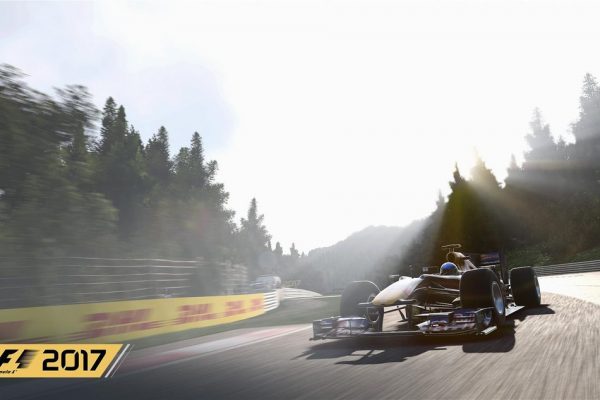 F1 2017 RB6 2