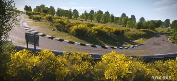 TT Isle of Man Gooseneck