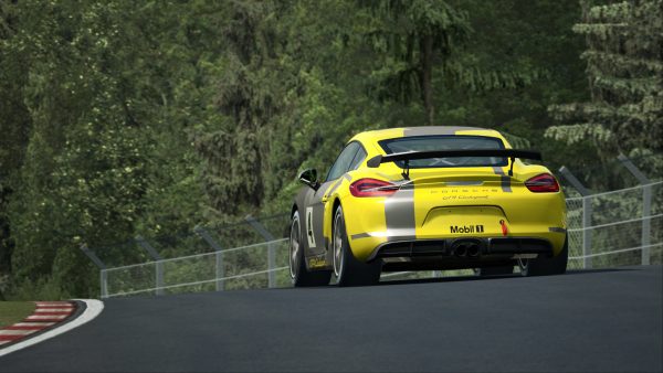 RaceRoom Porsche Cayman GT4 Clubsport 15