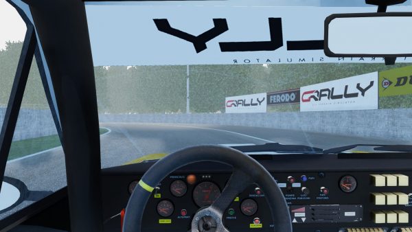 gRally in-car